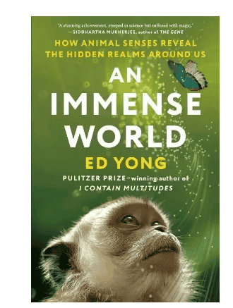 必讀！蘇州國際學校/牛津/斯坦福/帝國理工，暑期私藏書單來了！